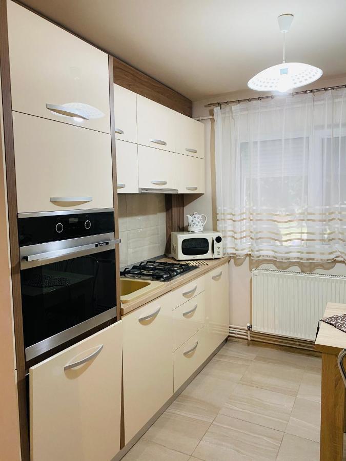 Sellada Apartament - Free Private Parking,Ac,Wi-Fi Carei Εξωτερικό φωτογραφία