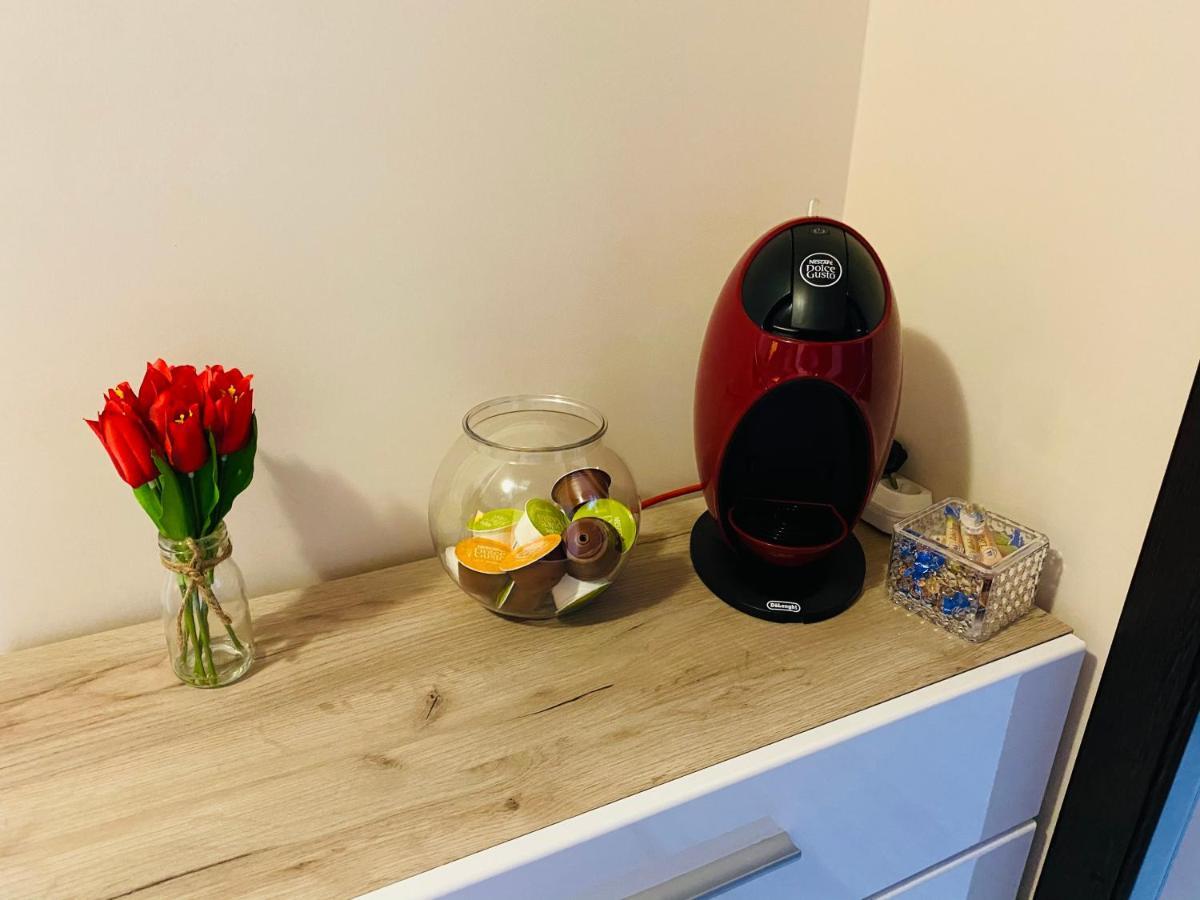 Sellada Apartament - Free Private Parking,Ac,Wi-Fi Carei Εξωτερικό φωτογραφία