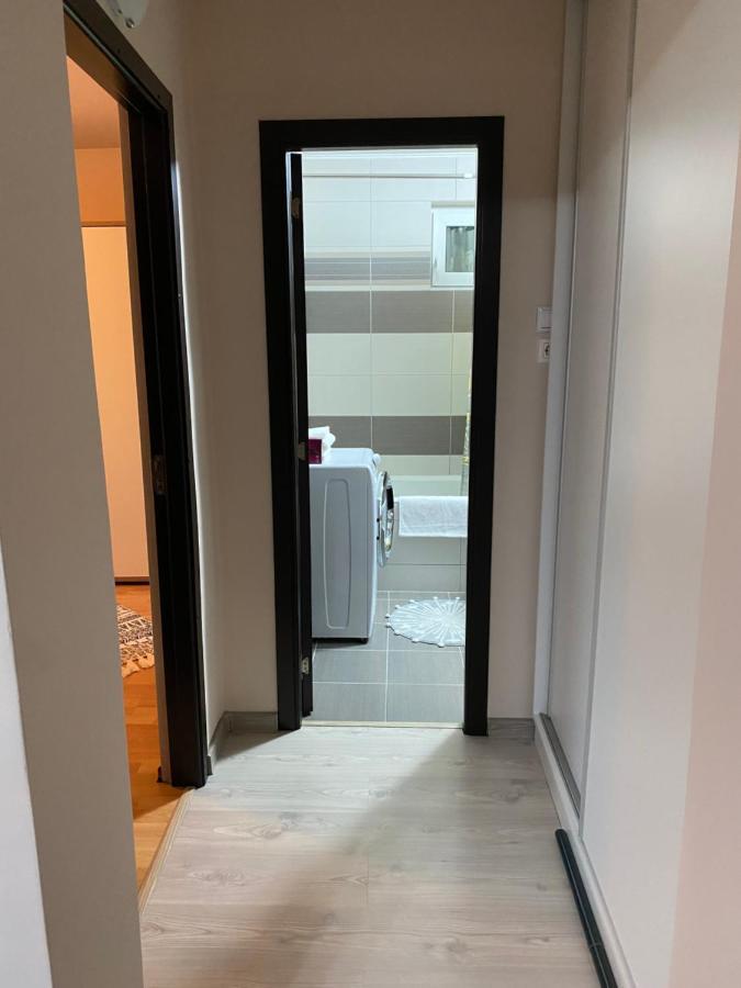 Sellada Apartament - Free Private Parking,Ac,Wi-Fi Carei Εξωτερικό φωτογραφία